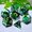 86073-3, variant on DND Resin Flowing Sand Dice Set (7 pieces), suitable for the role-playing game Dungeons and Dragons RPG and the board game polyhedron dice set.