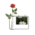 thumbnail image 1 of Botella de decoración Unbranded Tres White Cosmos jarrones colgantes de flores rosas artificiales, 1 of 3