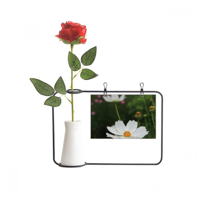Botella de decoración Unbranded Tres White Cosmos jarrones colgantes de flores rosas artificiales