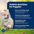 thumbnail image 5 of Blue Buffalo Life Protection Formula Puppy Dry Dog Food Chicken & Brown Rice 5lb Bag, 5 of 14