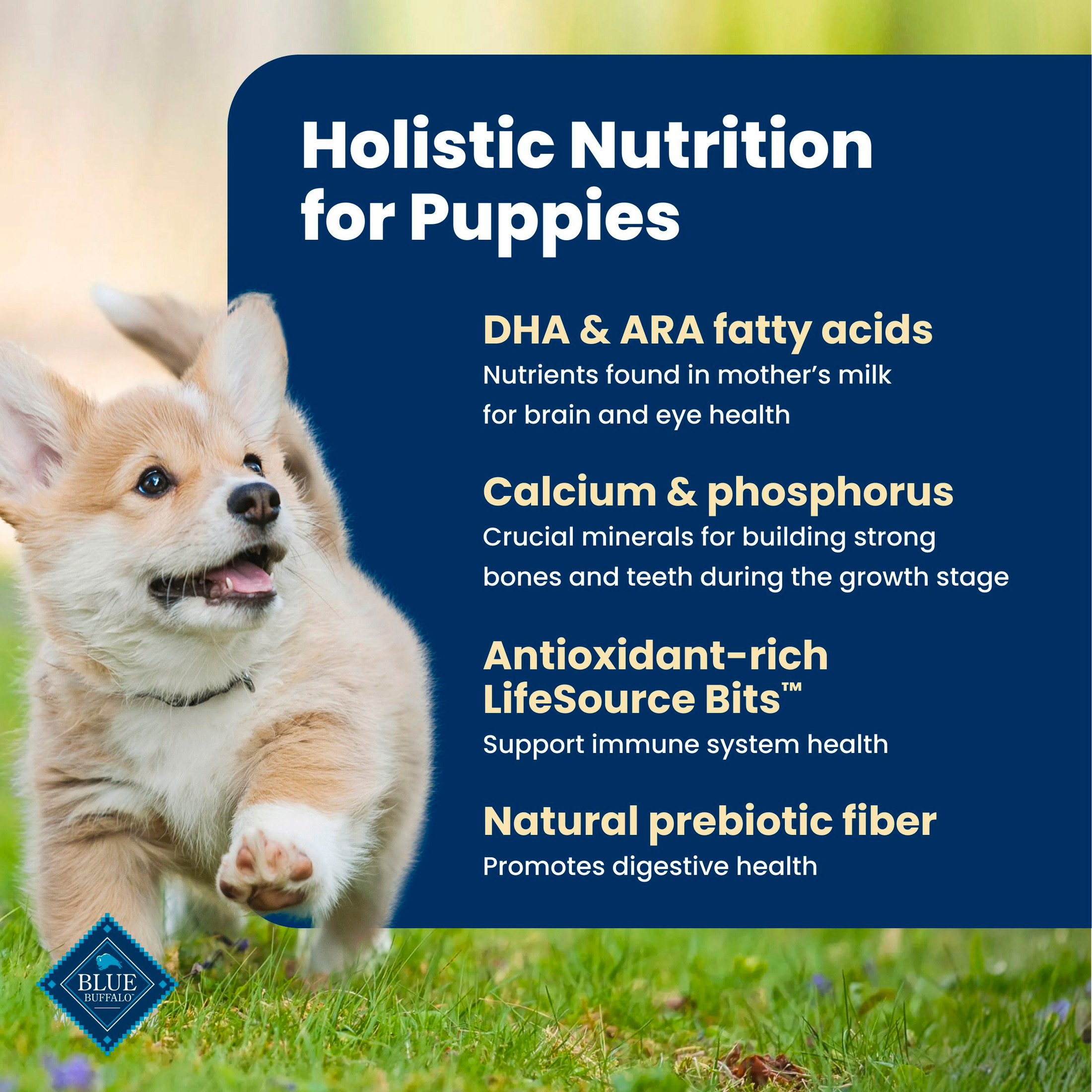 Blue Buffalo Life Protection Formula Puppy Dry Dog Food, 5 lb photo 4