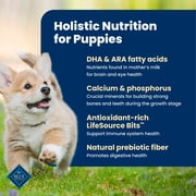 Blue Buffalo Life Protection Formula Puppy Dry Dog Food Chicken & Brown Rice 15lb Bag