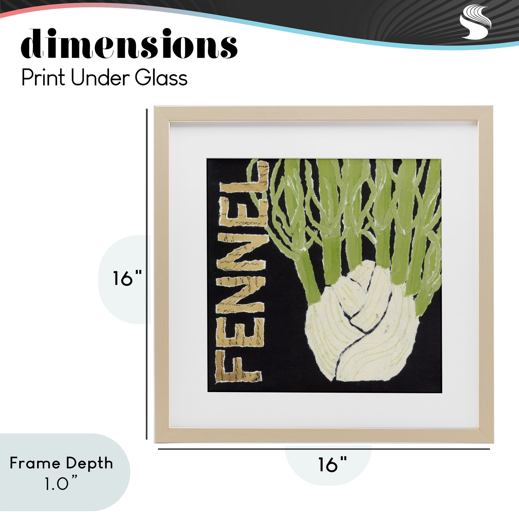 Stupell Industries Fennel Root Vegetable Birch Framed Print Under Glass, design by Nancy Overton