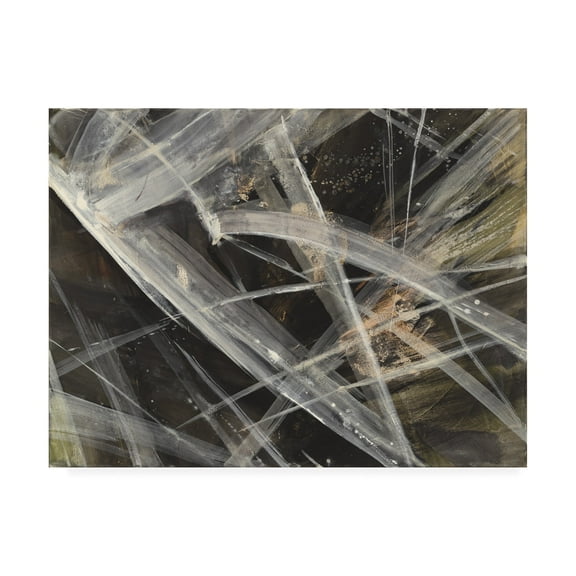 Trademark Fine Art 'Glacier Iv' Canvas Art by Albena Hristova