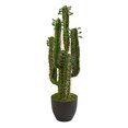 thumbnail image 2 of Nearly Natural 6330 2.5 ft. Cactus Artificial Plant, 2 of 9