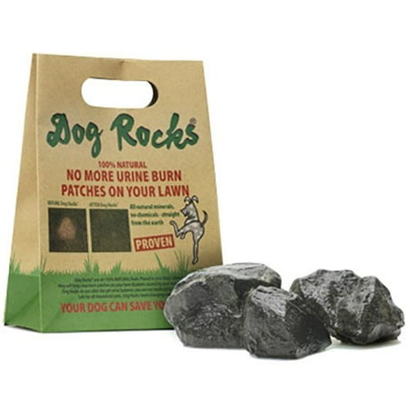 Dog Rocks – All Natural Grass Burn Solution for Dogs Prevents Lawn Urine Stains - 600 Gram Box (1