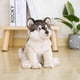 thumbnail image 5 of Peluche de peluche, perro lobo, perro husky, 35 cm - HUOGUO, 5 of 5