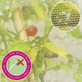 thumbnail image 2 of Tierra Garden 16' Mesh Polypropylene Plant Cover, 2 of 5