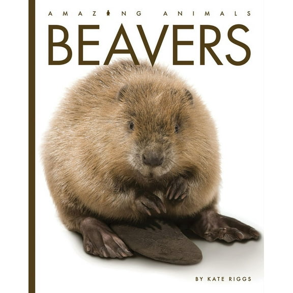 Amazing Animals Beavers, (Paperback)