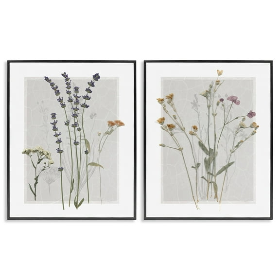 Stupell Industries Delicate Wildflower Herb Sprigs Lavender Nature Botanicals Graphic Art Black Framed Art Print Wall Art, Set of 2, Design by Carol Robinson