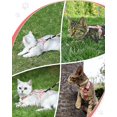 thumbnail image 4 of Arnés ajustable para gato, arnés con correa (145 cm, rosa M) para gato, perro pequeño, nailon con correa resistente a la seguridad, chaqueta con arnés para cachorro, gatito, Peti, 4 of 5