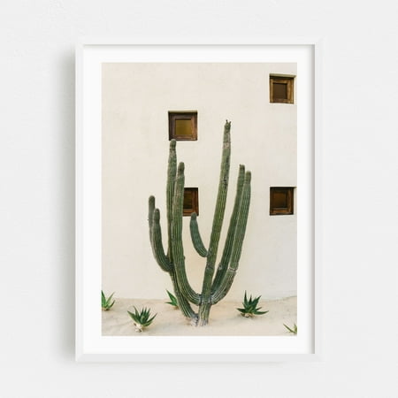 Cabo Cactus IX - Cabo San Lucas Baja California Sur Mexico Photography Cactus Desert Minimalist Botanical Architecture Rustic Nature White Framed Wall Art Print 12 x 18 inches