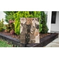 thumbnail image 4 of White Black Gray Cats Garden Flag Vertical Double Sided Portrait of Kitten Breed Cute Animal House Flags Home Burlap Banners for Outdoor Decor Lawn, 4 of 10