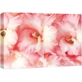 thumbnail image 3 of PixonSign Canvas Print Wall Art High Contrast Pink & White Carnation Botanical Wilderness Photography Realism Modern Closeup Multicolor Ultra for Living Room, Bedroom, Office - 32"x48", 3 of 5