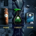 thumbnail image 4 of Febreze Air Effects Forest Air Freshener, 8.8 oz. Can, Pack of 3, 4 of 10