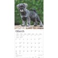 thumbnail image 2 of BrownTrout, Schnauzer Puppies 2025 Wall Calendar, 2 of 4