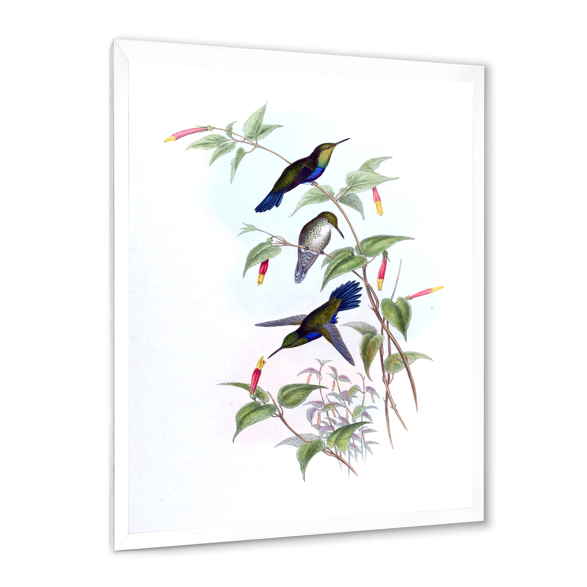 Designart 'Ancient Hummingbird I' Traditional Framed Art Print