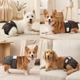 thumbnail image 7 of BELLA & PAL Brown Leopard Print Female Dog Diapers, 3-Pack, Highly Absorbent Washable Diapers for Small Dogs, Leak-Proof Puppy Diapers, XS, 7 of 7