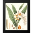 thumbnail image 2 of Smith, George 15x18 Black Modern Framed Museum Art Print Titled - Soft Tropical I, 2 of 5
