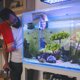 thumbnail image 5 of Plantas de acuario, plantas artificiales, utilizadas para la decoración de acuarios y peceras., 5 of 5