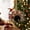 B, variant on Harp Christmas Ornaments 2026, Instrument Themed 2d Acrylic Ornaments for Christmas Tree, Christmas Gifts for Women & Men, Ideal Instrument Lover Gift Idea for Christmas