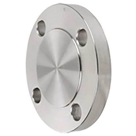 Manufacturer Varies Pipe Flange, Blind Flange, 316/316L SS 4381001800