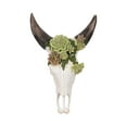 thumbnail image 6 of Bull Skull with Succulents for Home and Room Decor - Wall Display for Bedroom, Living Room, Office, Entryway or Hallway - Hanging Wall Art Decor Accent for Interior Display - 18", Ivory & Brown, 6 of 10
