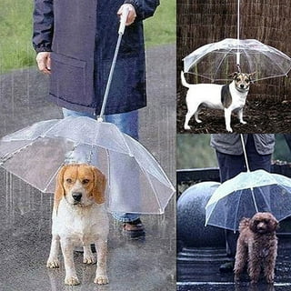 Large best sale dog umbrella