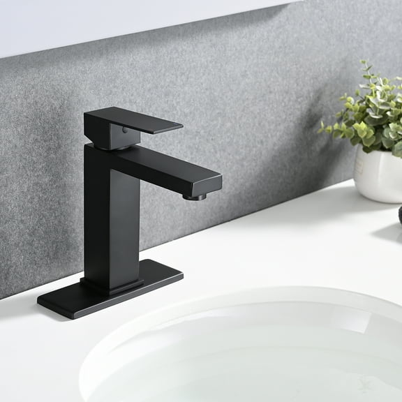 PROOX Single Handle Bathroom Faucet with Drain Assembly