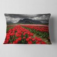 thumbnail image 2 of Designart Rows of Bright Ruby Red Tulips - Landscape Printed Throw Pillow - 12x20, 2 of 5