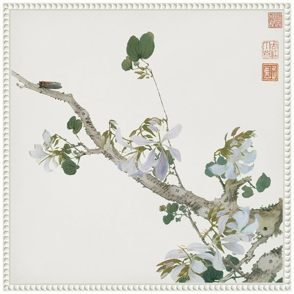 Amanti Art Insects and Flowers IV Framed Canvas Wall Art Print