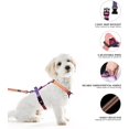 thumbnail image 2 of YIXIGGC Small Dog Harness and Leash Set, No Pull Dog Harness Adjustable Reflective, Dog Halter Harnesses Comfort Padded Handle, Pet Harness for Training Outdoor Walking（Mistyrose-S DYF329-2231, 2 of 7