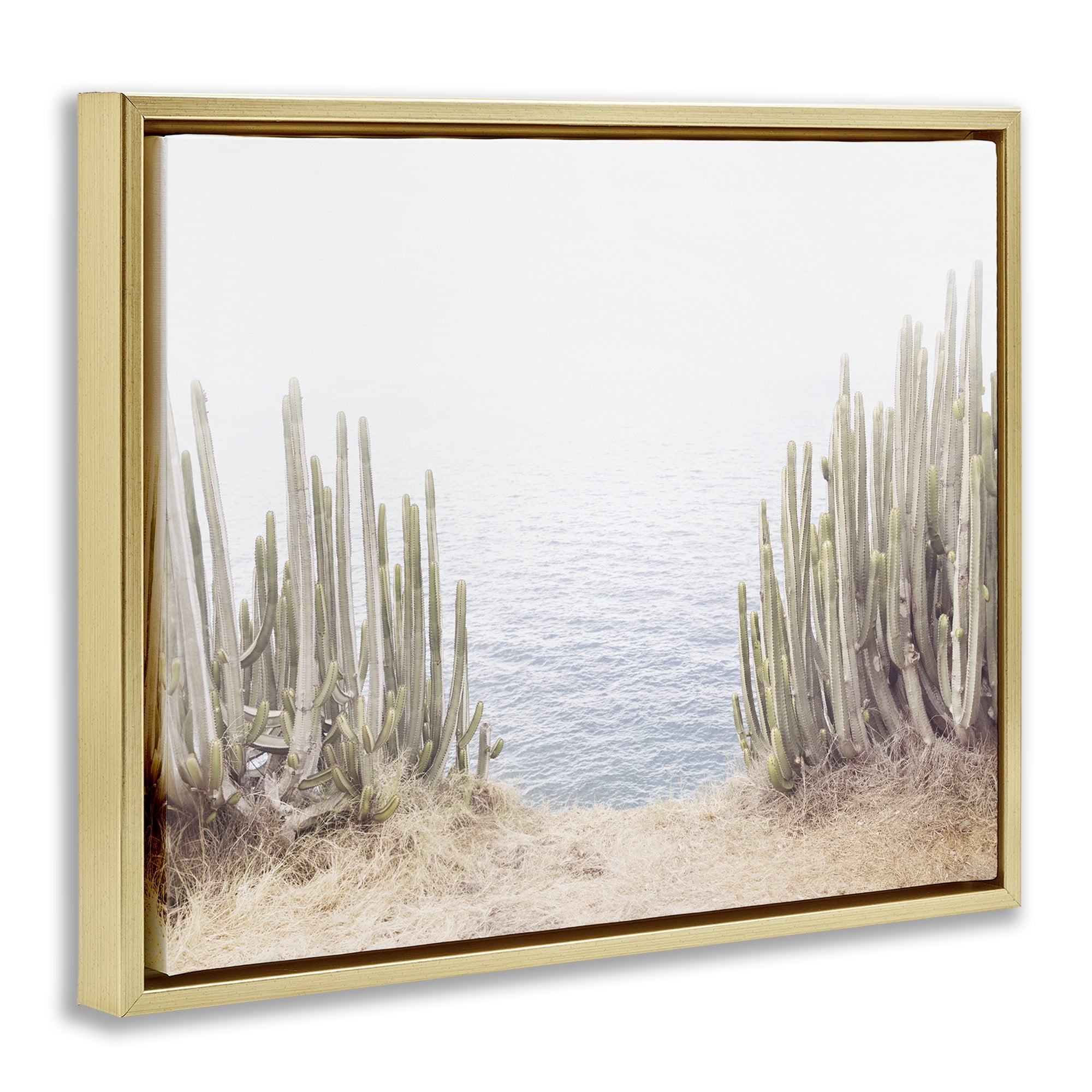 Stupell Industries Seaside Cacti Plants Nautical & Beach Photography Gold Floater Framed Canvas Art Print Wall Art, 21 x 17
