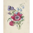 thumbnail image 2 of Vision Studio 26x32 White Modern Wood Framed Museum Art Print Titled - Antique Garden Bouquet I, 2 of 4
