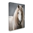 thumbnail image 4 of Stupell Industries Silky Haired Horse Animals & Insects Photography Gallery Wrapped Canvas Art Print Wall Art, 30 x 40, 4 of 8