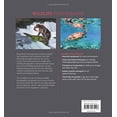 thumbnail image 4 of Wildlife Photography : An Expert Guide (Paperback), 4 of 8