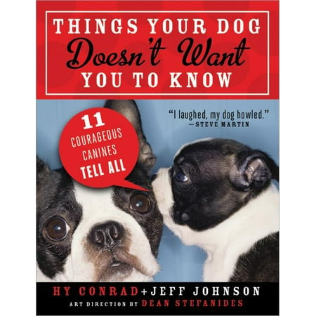 Things Your Dog Doesn’t Want You to Know