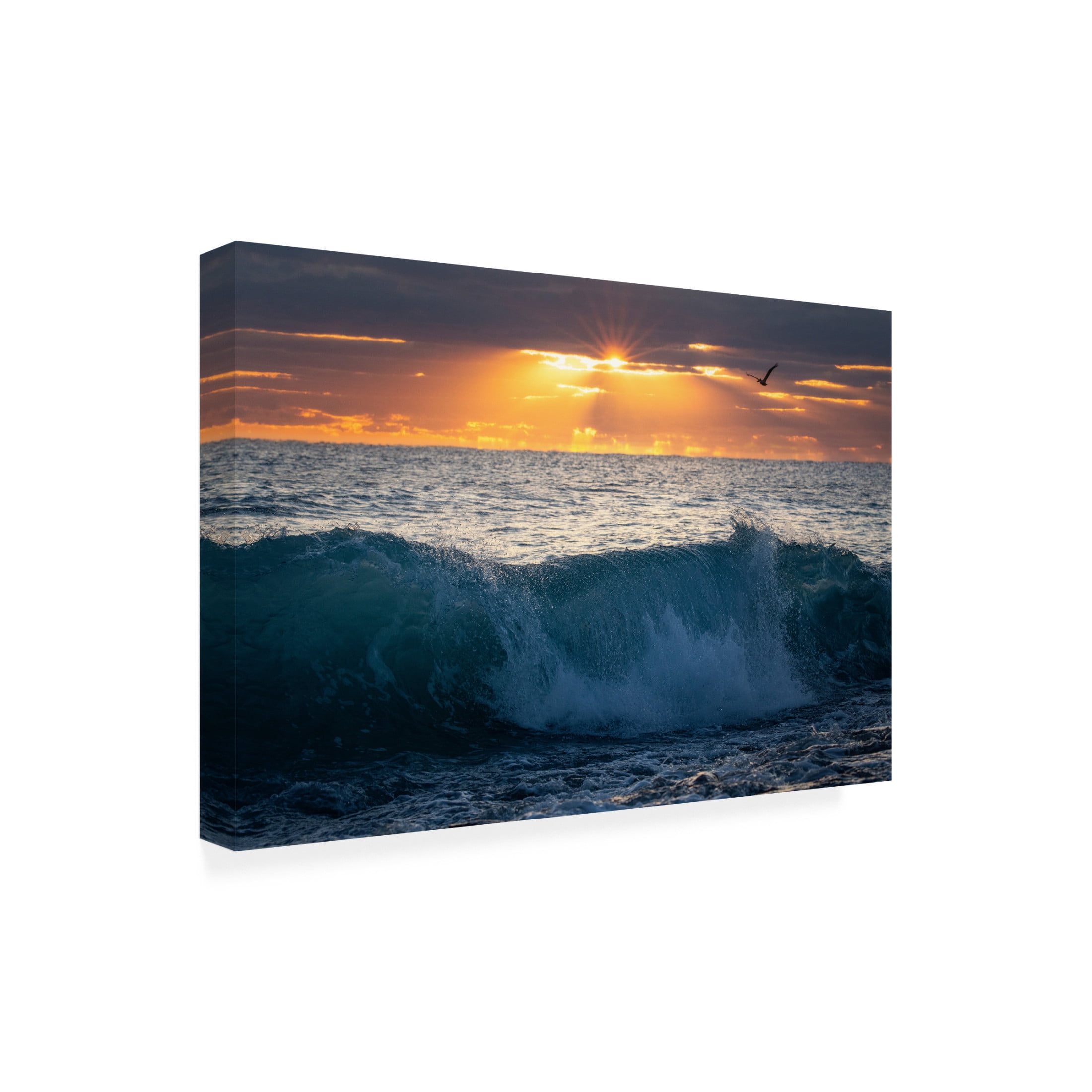 Canvas Wall Art - Patrick Zephyr 'Pelican at Dawn' Wall Art for Living Room, Bedroom, or Office Décor by Trademark Fine Art - 32 x 22 Inches