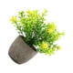thumbnail image 1 of Yuarrent Árbol de dinero artificial fácil de limpiar en maceta para una decoración del hogar sin esfuerzo verde Decoración aliento de bebé amarillo, 1 of 6