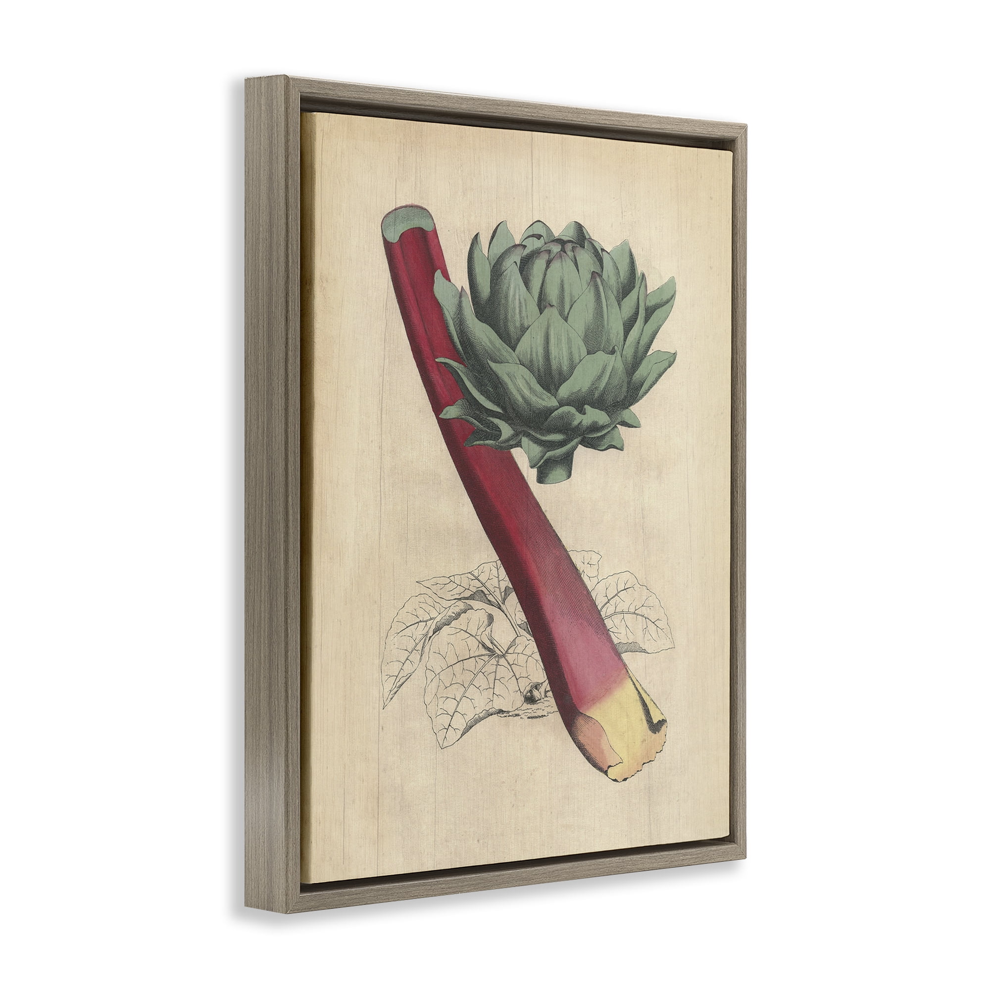Stupell Industries Vintage Vegetable Studies Food & Beverage Painting Brown Floater Framed Canvas Art Print Wall Art, 25 x 31