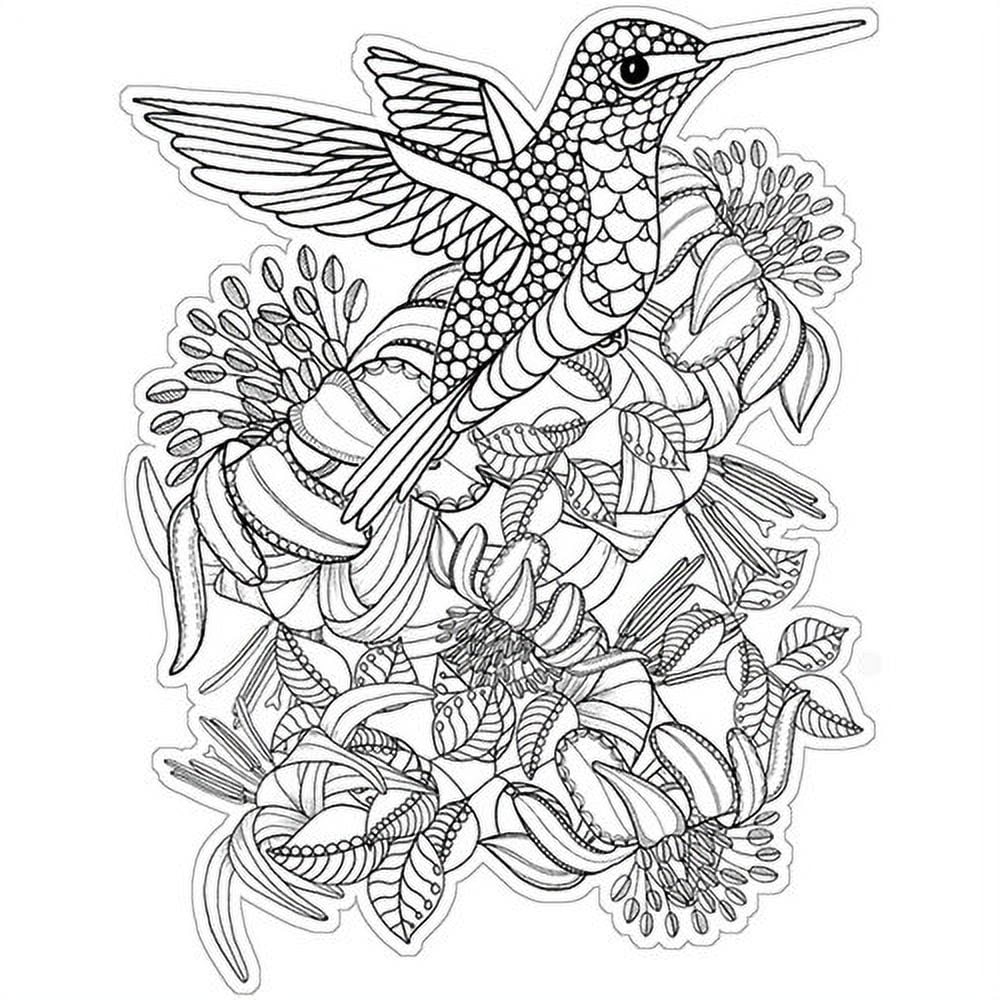 Hummingbird coloring book Cut Out Stock Images \u0026 Pictures - Alamy, image size:1000x1000