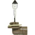 thumbnail image 6 of SYLVANIA 898.BP Multi Purpose Halogen Bulb, 6 of 7