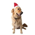 thumbnail image 4 of Sombrero de Navidad Felpa para mascotas Yuyangstore L, 4 of 8