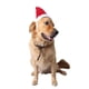 thumbnail image 4 of Sombrero de Navidad Colco Lujo Gorro Tema de Navidad Rojo L, 4 of 8