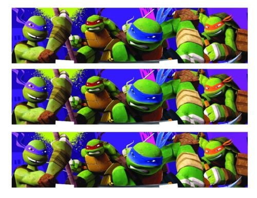 Teenage Mutant Ninja Turtles Edible Cake Topper Birthday