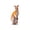 Stuffed Animals - Kangaroo, variant on 17.32 Inch Cute Koala Plush Toys, Soft Wild Animal Plushie Toy Stuffed Animals, Birthday, 10th of July, Graduation, Mothers Day Gift for Boys Girls (White)