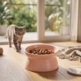thumbnail image 4 of Elevated Tilted Cat Dog Bowl Raised Pet Feeding Bowl Neck Relief Anti Slip Base for Cats Small Dogs Whisker Friendly Indoor Food Water Dish, 4 of 7