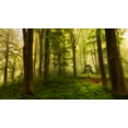 thumbnail image 2 of Londal, Leif 24x15 White Modern Wood Framed Museum Art Print Titled - The Little Tree, 2 of 4