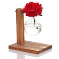 thumbnail image 3 of Terrario para plantas transparente con soporte de madera, soporte para jarrón de vidrio, soporte creativo de madera. Estilo1, 3 of 7