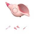 thumbnail image 3 of Sentmoon Kids Musical Instruments Toys for Kids 3-5 Children's Musical Instruments Toys Animals Assembly Number Conch Horn Boys and Girls Exercise Capacity Simulate Sounds, 3 of 7